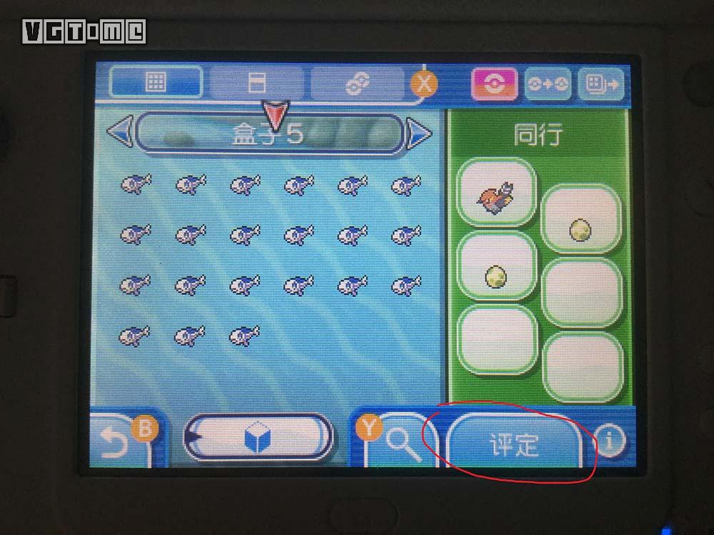 精灵宝可梦珍珠与钻石如何孵蛋,精灵宝可梦太阳蛋孵化