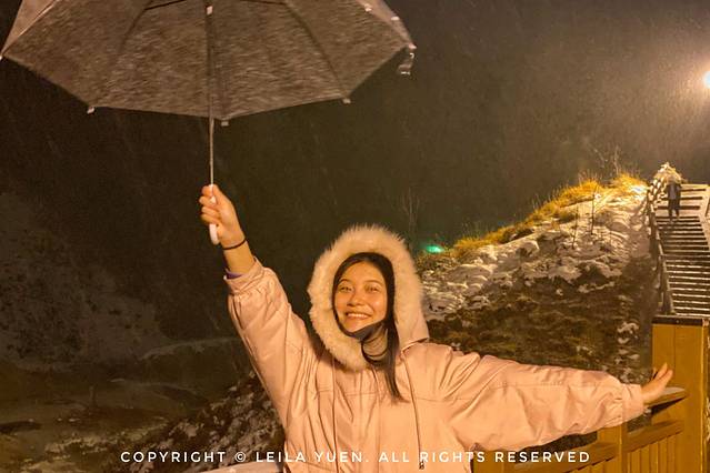 现在去日本买口罩,去日本买口罩日购