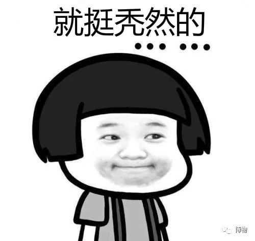 自己做的披萨为什么不拉丝,水果披萨做法空气炸锅怎么不拉丝