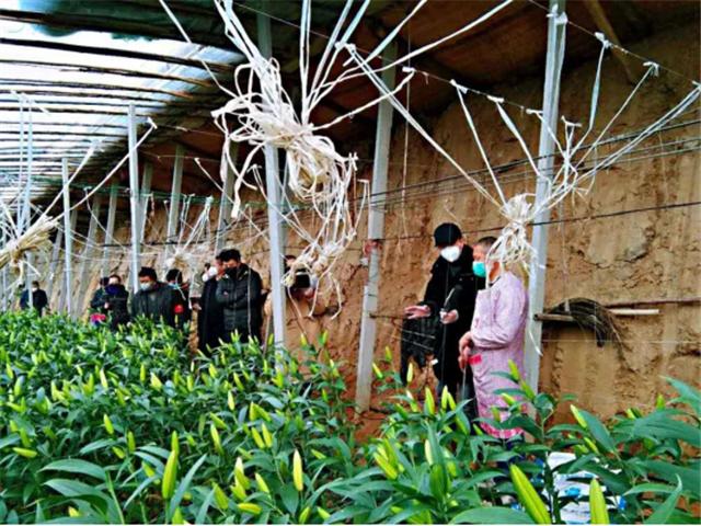 春耕服务团队,农技人员服务春耕备耕