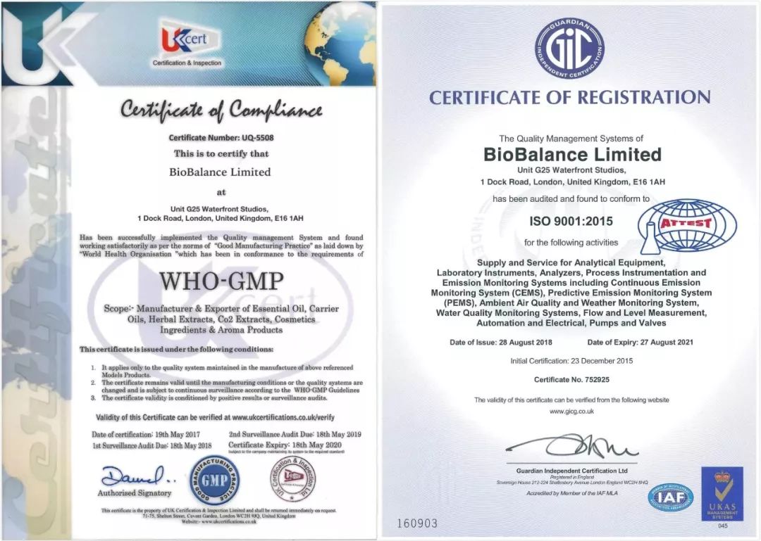 呼噜娃完整视频,呼噜娃原版视频