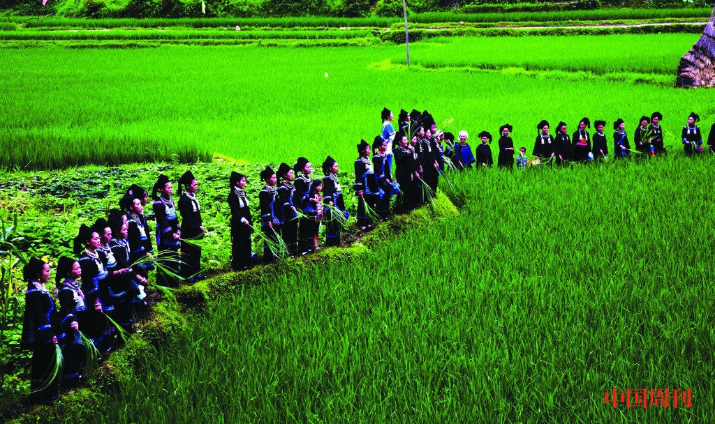 山谷里的国际文化大视野