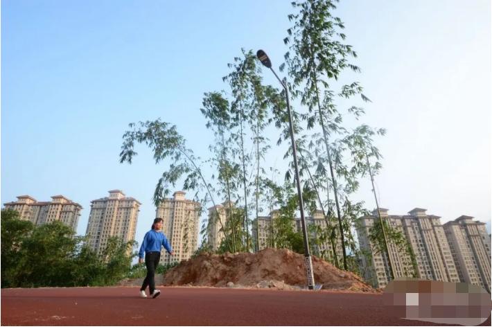 各大公园,北京各大公园游玩攻略