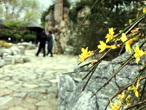 济南疫情期间公园对外开放,济南湿地公园疫情开放了吗