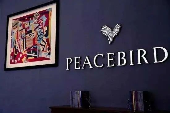 太平鸟店业绩,太平鸟业务发展现状