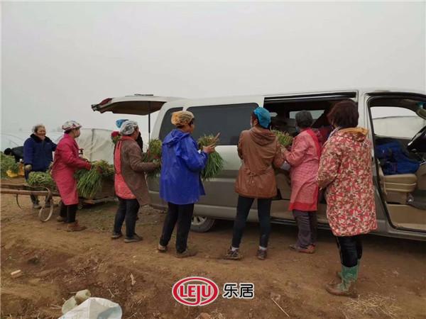 战“疫”有爱！忆通置业联手明迅传媒免费派送千斤菜