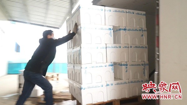 新发地蔬菜直通车,蔬菜直通车开到家门口