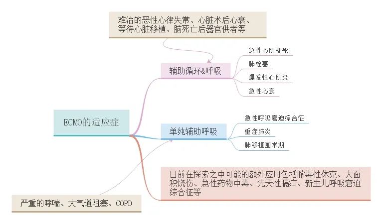 ecmo抢救全程首公开外媒,ecmo救治极重症