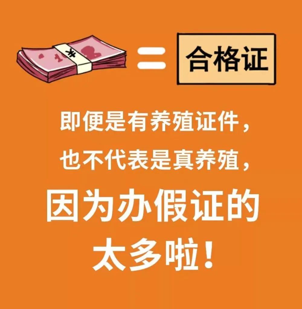 哪些动物属于野味,别再吃野生动物管住自己嘴