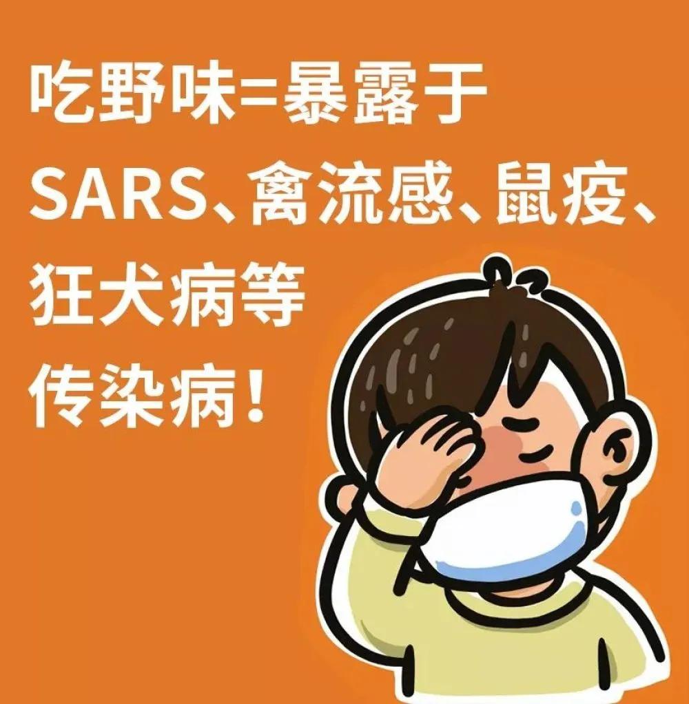 哪些动物属于野味,别再吃野生动物管住自己嘴