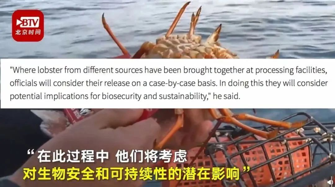 如果没有中国游客,世界该有多无聊