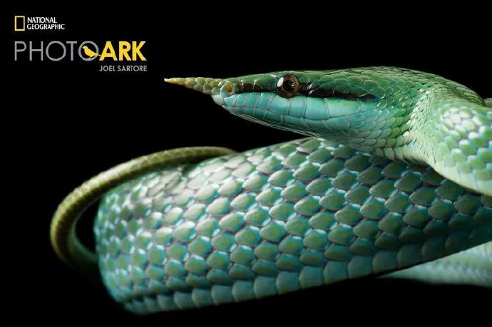 记住它们现在的模样,记住这些永不过期的食品