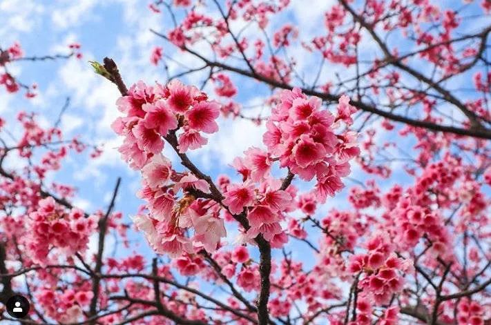 5元畅吃麦当劳、戴森吹风机免费送！线上就能赢大奖啦，赶紧来