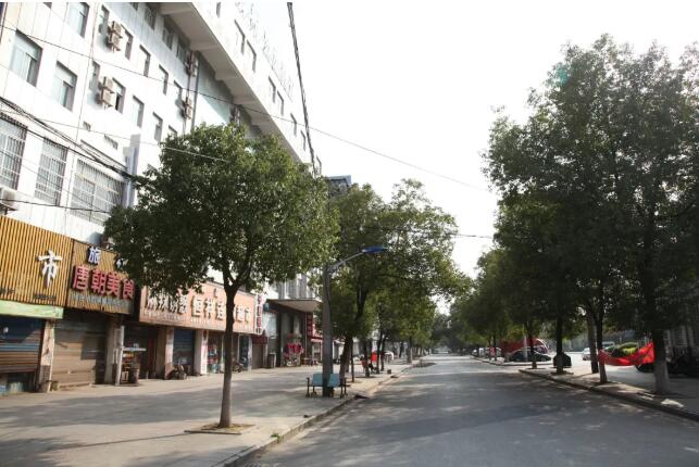 湖北省疫情观察,武汉疫情探访