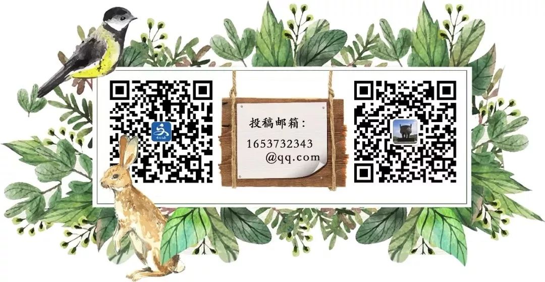 要把城市变美,福鼎市创建生态文明城市