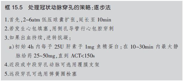 介入引起的血管并发症,介入栓塞治疗的并发症