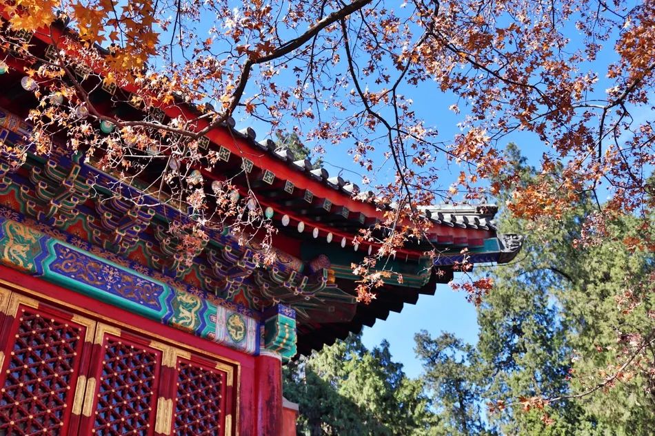 等疫情结束了欢迎你来喀什,等疫情过后欢迎您的到来