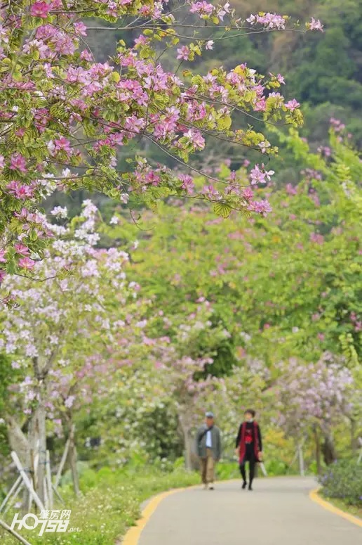七星岩最新免费政策,肇庆市七星岩门票免费政策