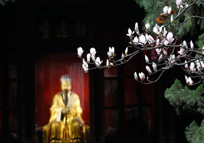 成都的景点都正常开放吧,现在成都有哪些景区免费