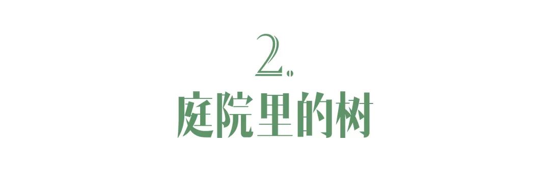 一起来植树的视频,今天适合植树吗