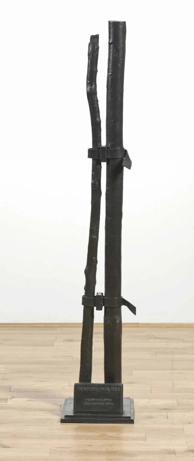 一年一度的植树,现在正在植树的视频