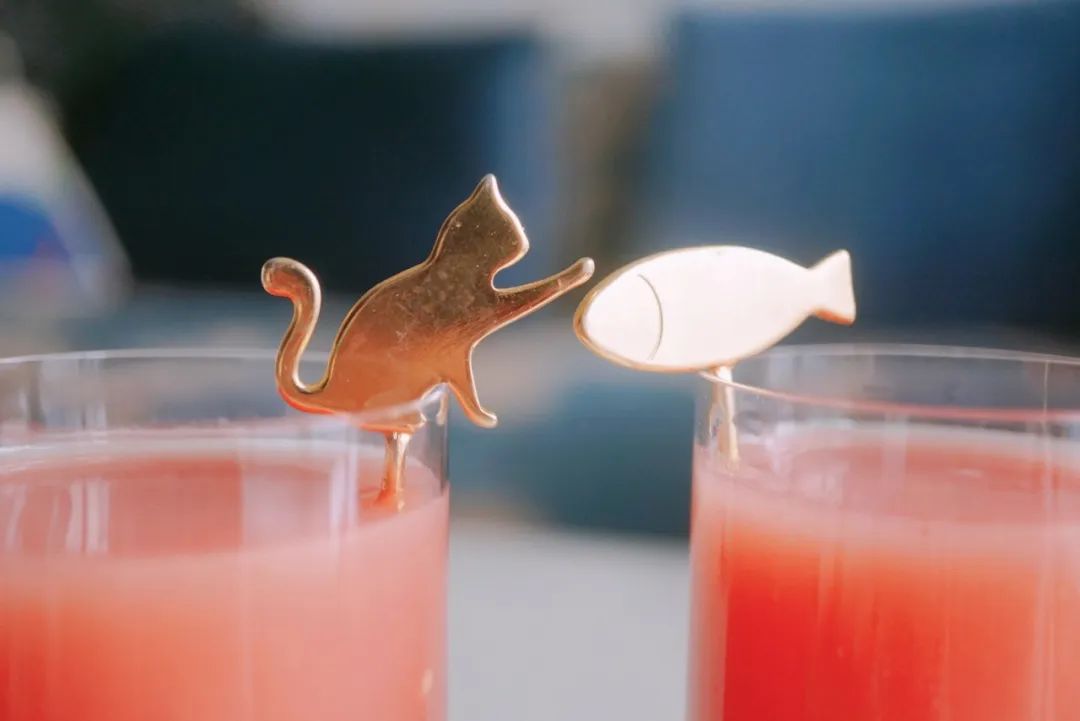 小家电防坑指南,小家电使用教训分享