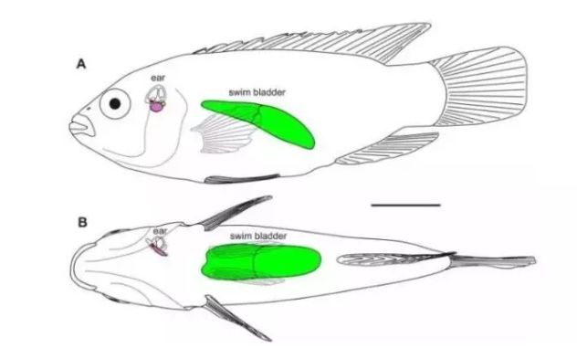 不整容不医美人真的会变吗,不整容不化妆变成美女