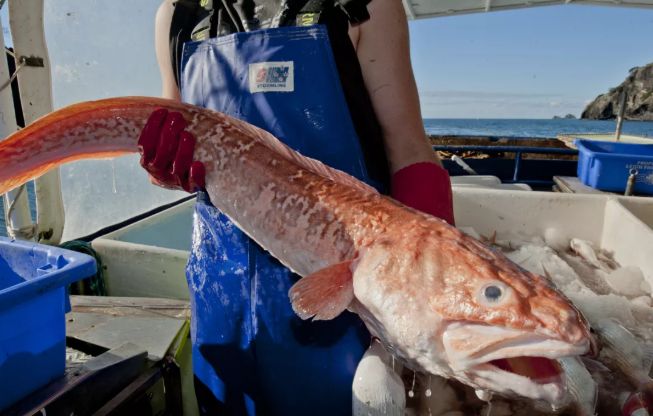 不整容不医美人真的会变吗,不整容不化妆变成美女