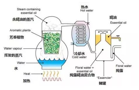 不整容不医美人真的会变吗,不整容不化妆变成美女