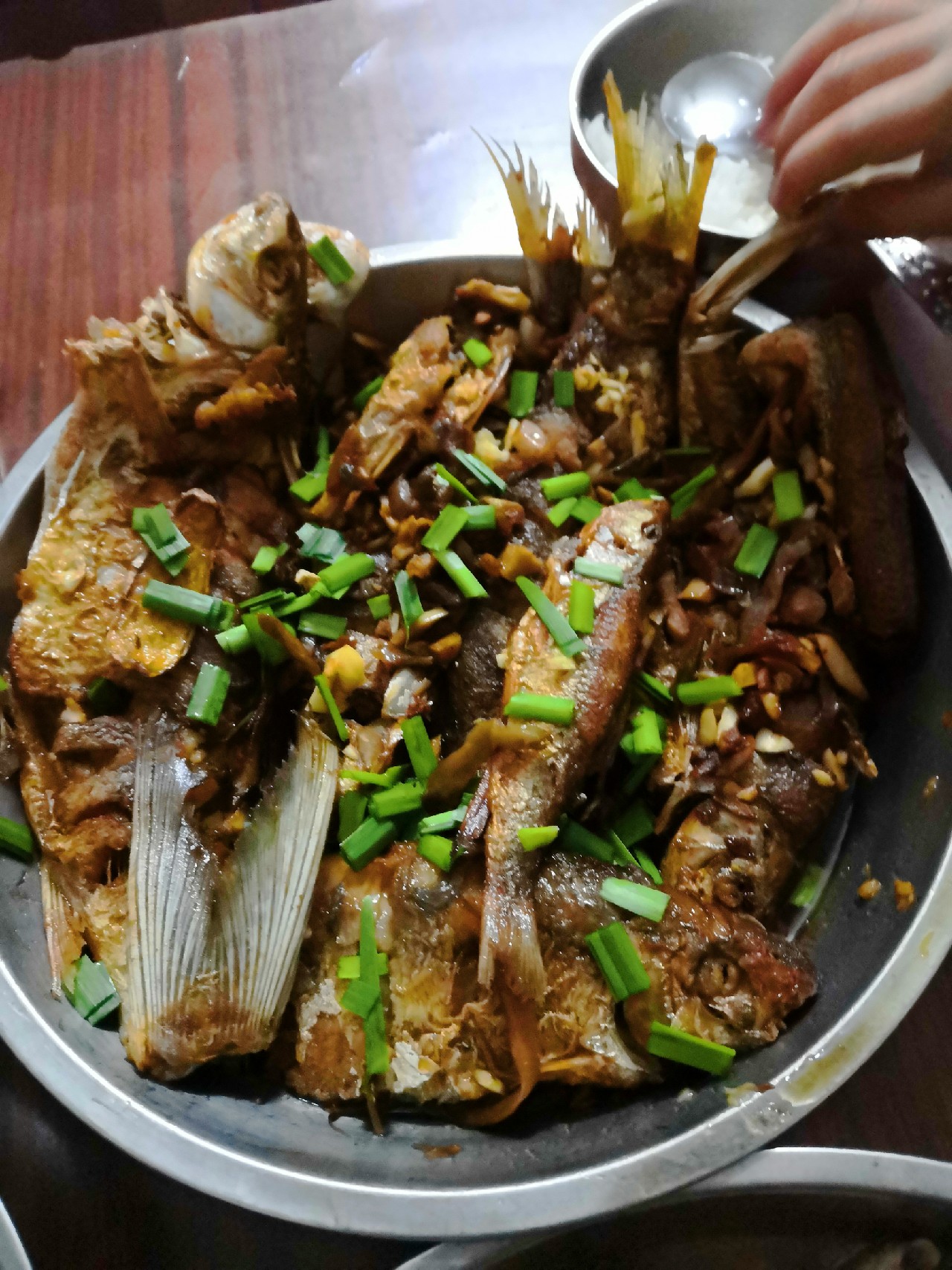 增江钓土鲮时间,增江土鲮爆护