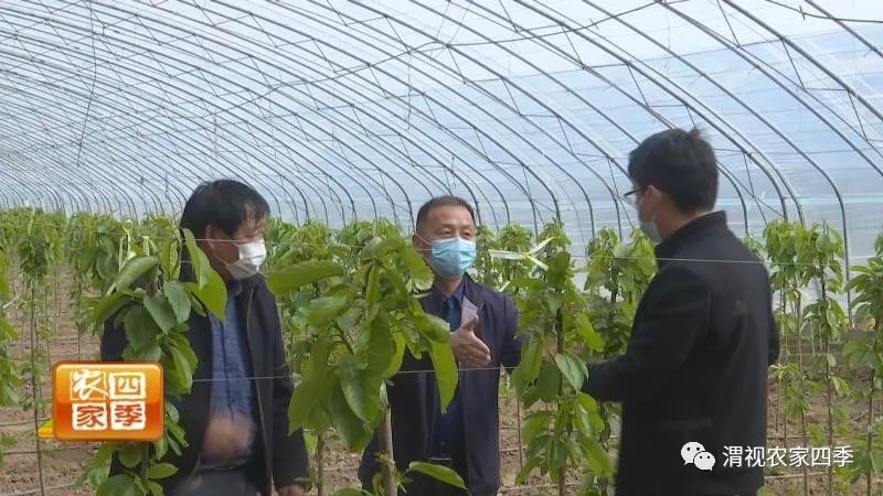 好政策促就业,好政策的落实对策