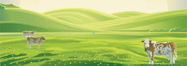 欢迎你来呼伦贝尔大草原,为你而来新疆歌曲拼音