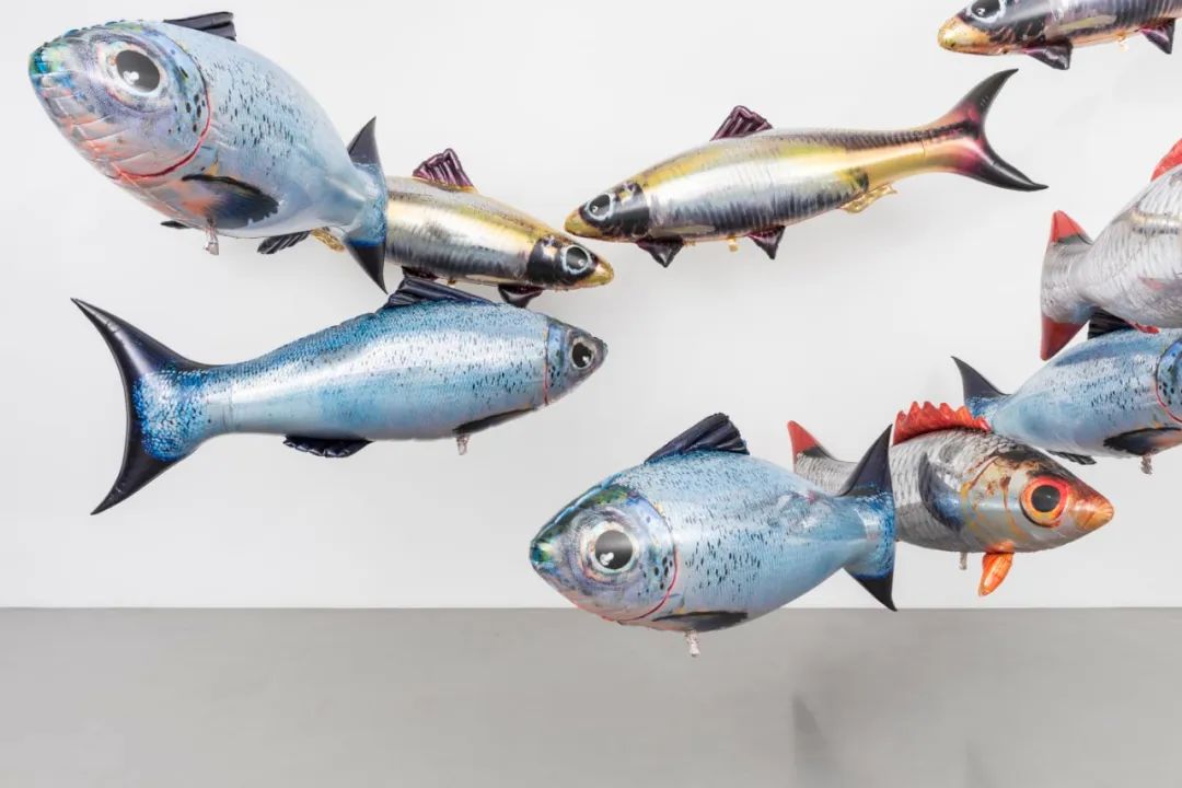 香港巴塞尔艺术展2023年门票价格,香港巴塞尔艺术欣赏