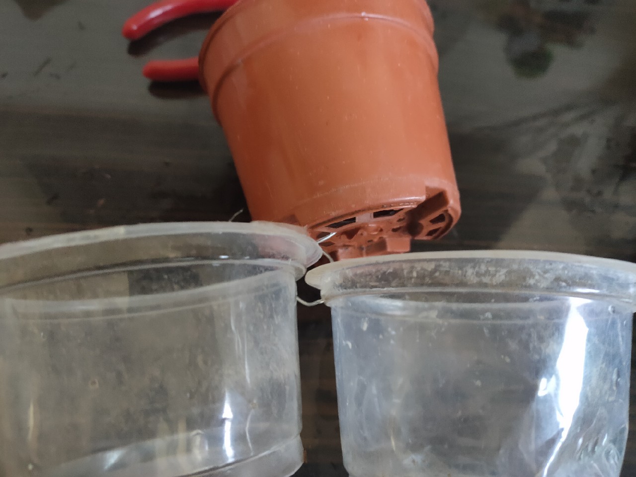 自制蚯蚓专用工具,自制红虫养殖器