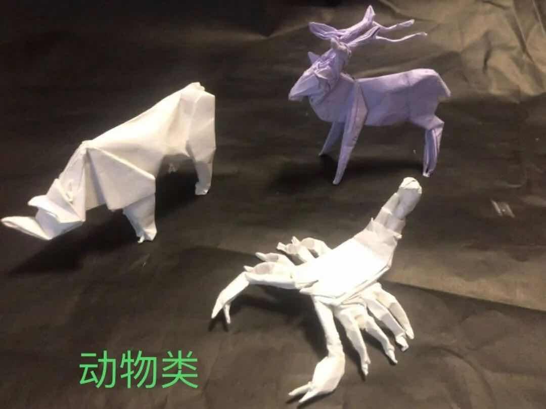 小学生手工折纸第一名,小学折纸一等奖