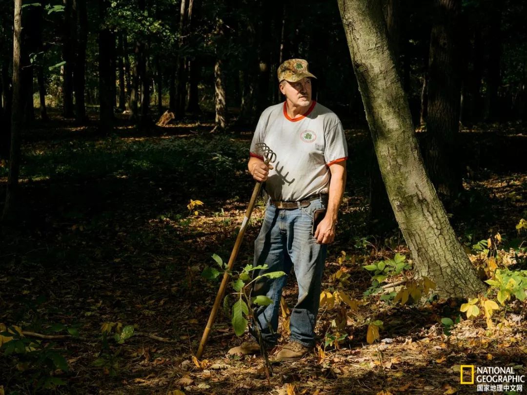 人参大战莱菔子,人参大战灵芝