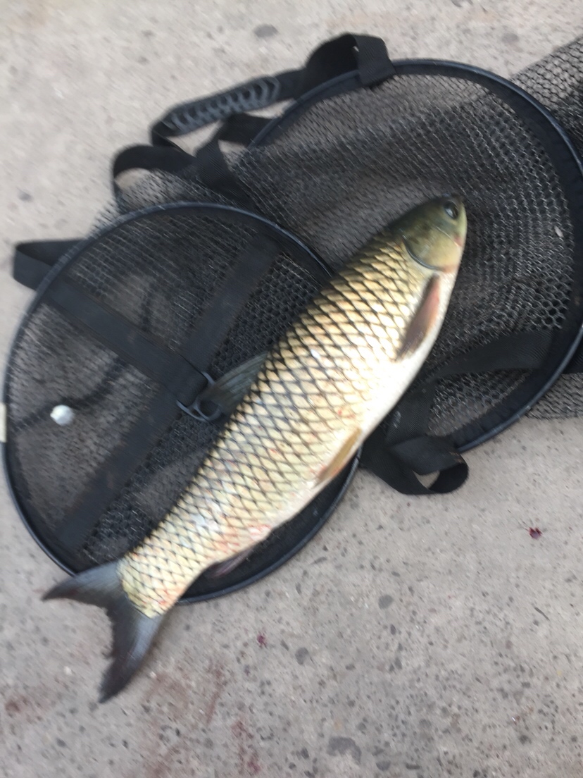 身着战袍,穿上节日盛装为祖国庆生