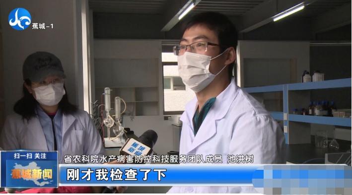 春季大黄鱼病害问题如何防治？别急，省农科院专家为您支招