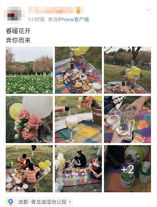 武大樱花雨现场,武大樱花周日还有票吗