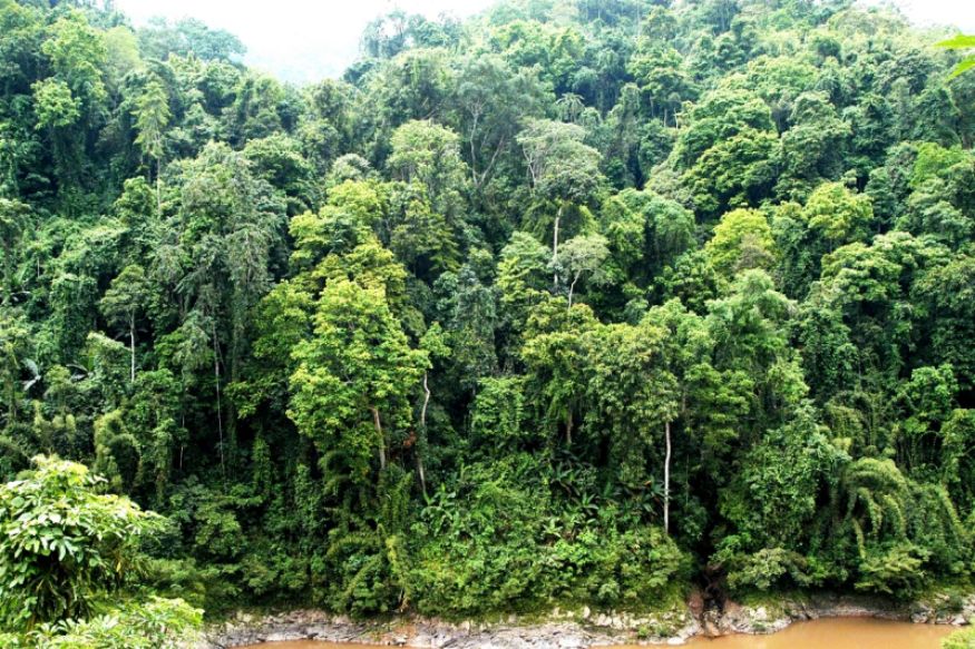 可再生的水电,永不复生的家园