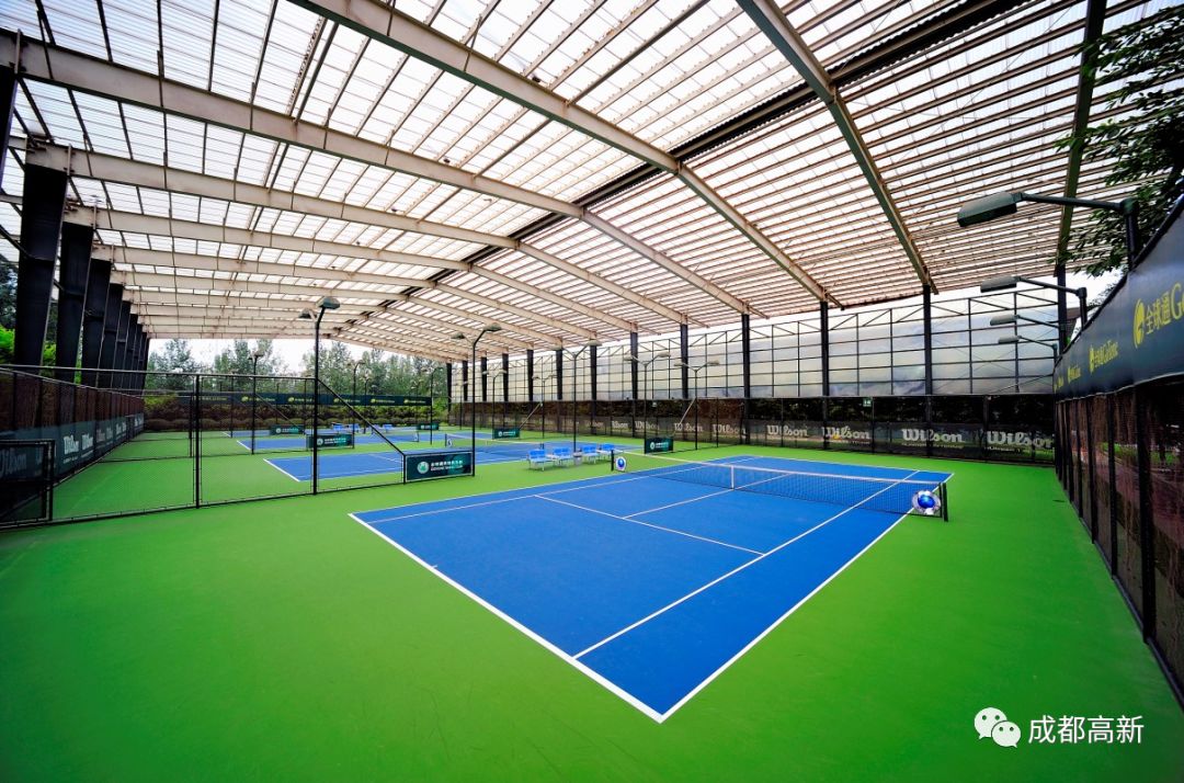 成都155个体育场馆,成都高新体育中心在什么地方