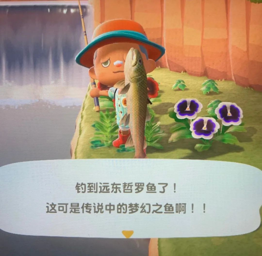 星期一不上班睡觉,每天排队上岛