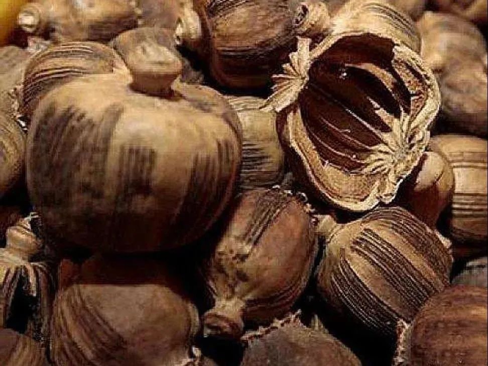 别不信,这些*品毒**你可能认不出来!