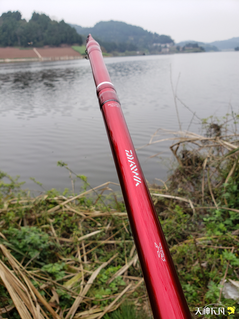 凤凰涅盘浴火重生对火的崇拜,凤凰涅盘浴火重生需要的是勇气