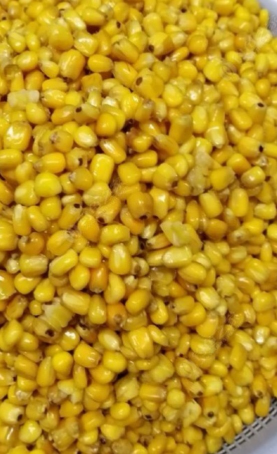 钓大草鱼如何起竿,钓大草鱼诀窍揭秘