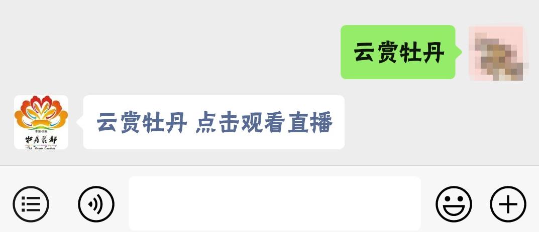 花都开好了来赏花,洛阳去哪里赏牡丹花