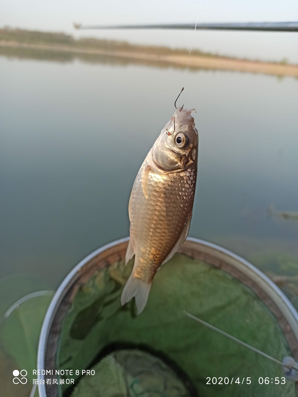 5.4鱼竿碰到大鱼老切线,5.4米鱼竿不适合野钓吗