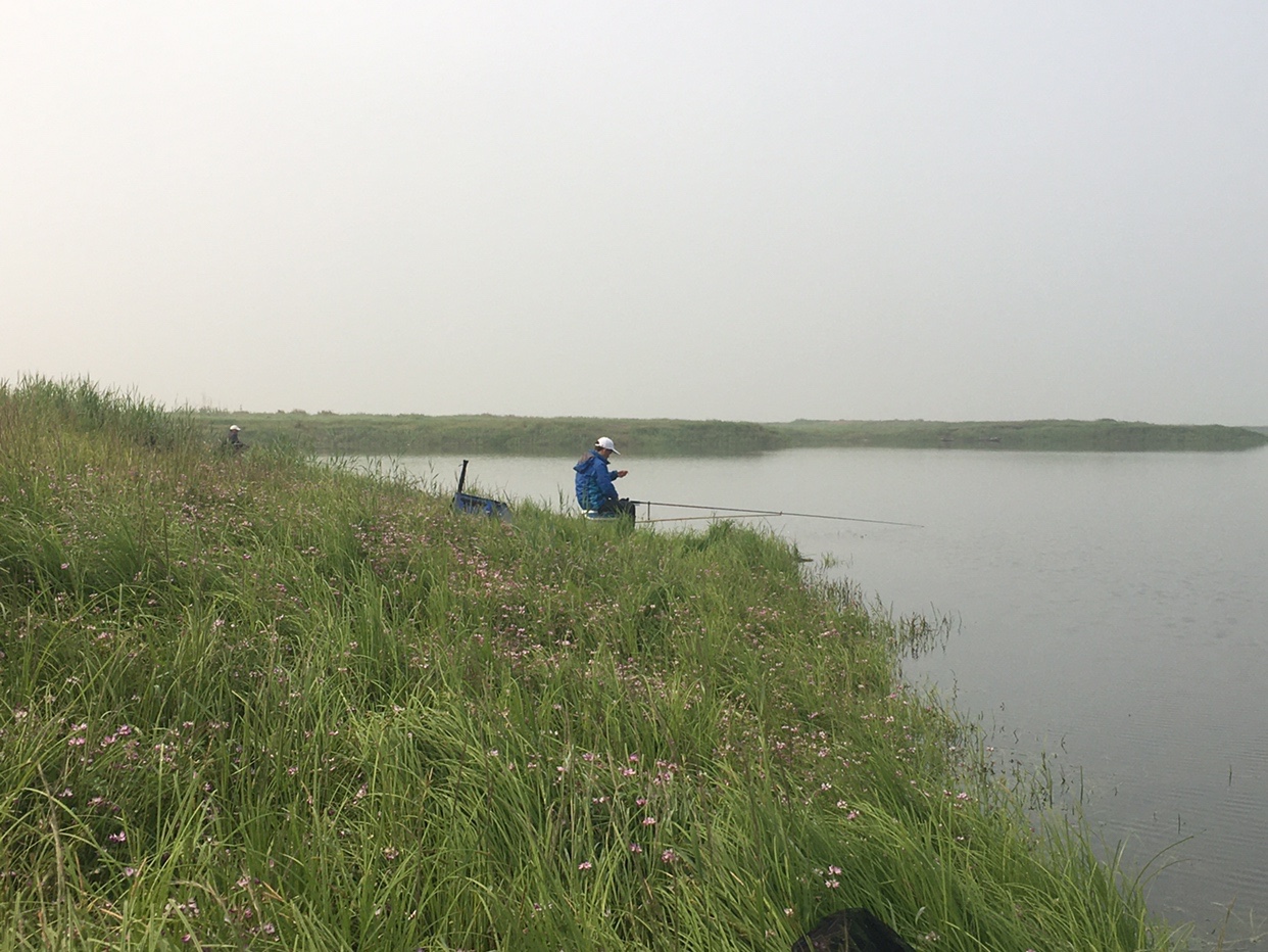 锵锵三人行余秀华读诗,锵锵三人行马未都邓亚萍