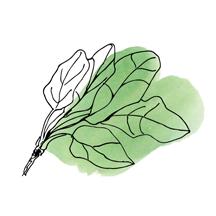 洗护推荐韩国牌子,男士洗护套装哪个品牌好