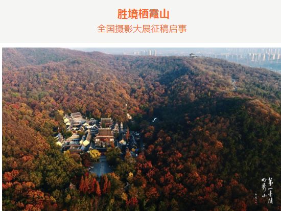 【栖霞山·植物百科】蛇床：我说我是平平无奇朴实无华的小白花，你信吗？